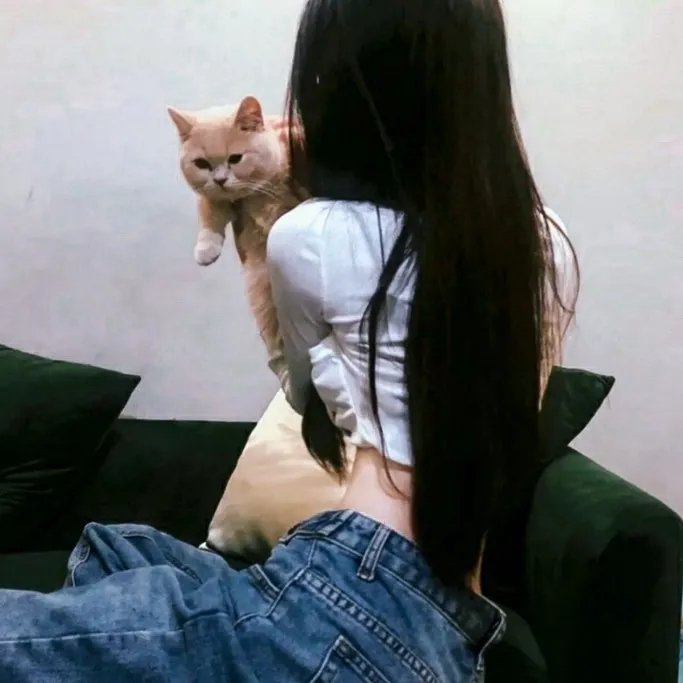 英雄虎胆美人恩