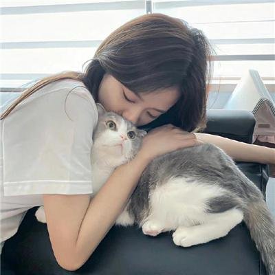 锦绣令